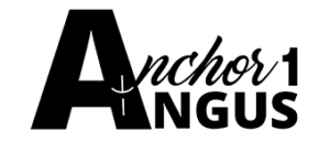 Anchor 1 Angus